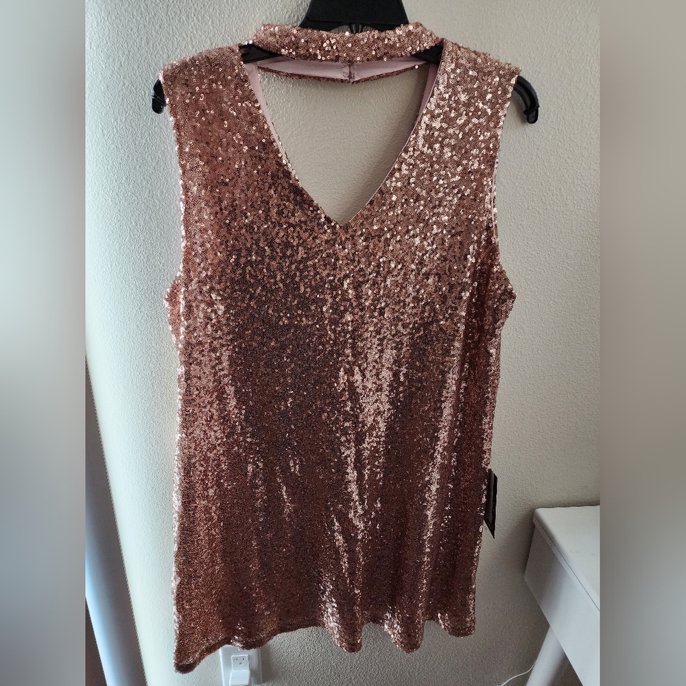 Loralette Sequin Sleeveless Dress